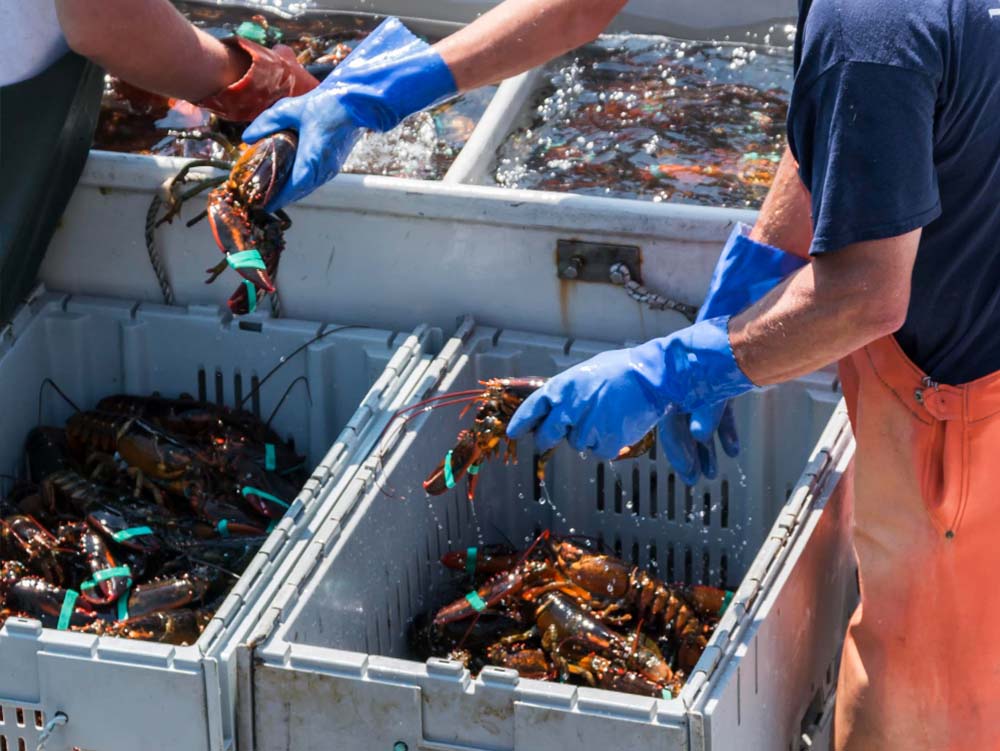 Liquid Waste Problem